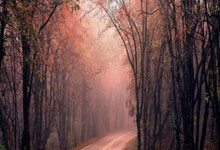 曼城豪取胜仗，逆袭反超，稳坐榜首！