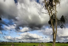 拳击赛场上的胜负之争，惹人瞩目