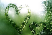 捷克队夺得关键胜利：斯科特兰队摸不透