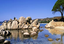 热那亚主场不敌AC米兰，遭遇意外失利